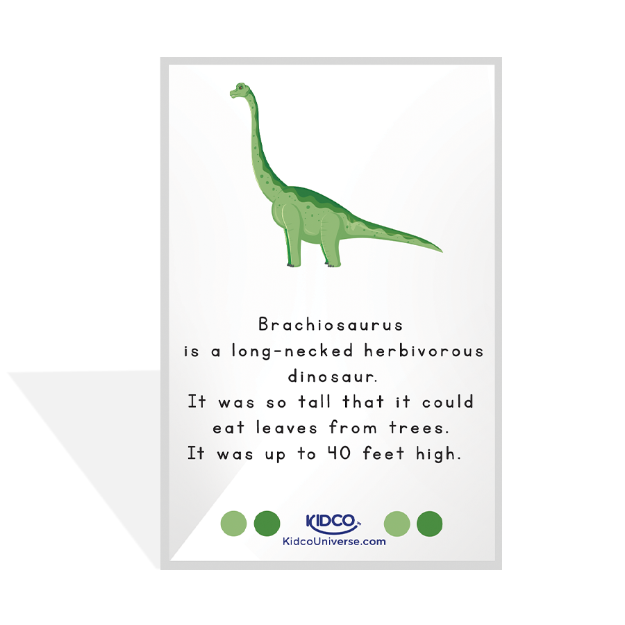 Dinosaurs Flash Cards