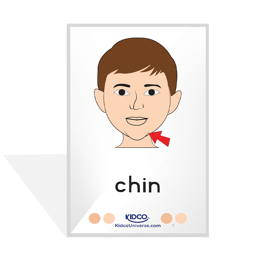 Parts of Body Flash Cards
