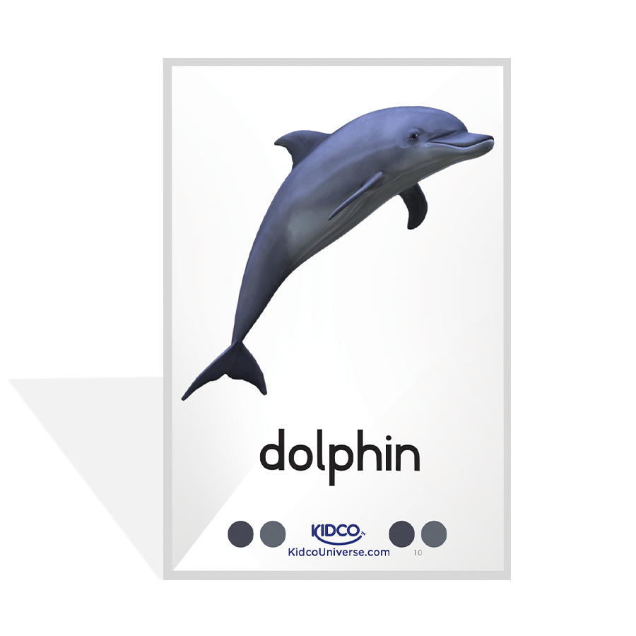 Sea Animals Flash Cards