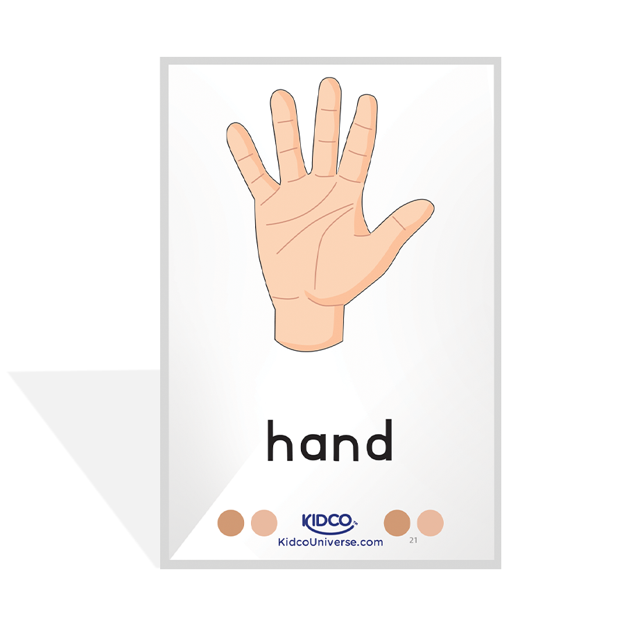 Parts of Body Flash Cards