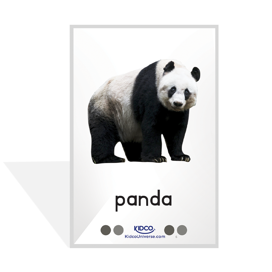 Wild Animals Flash Cards