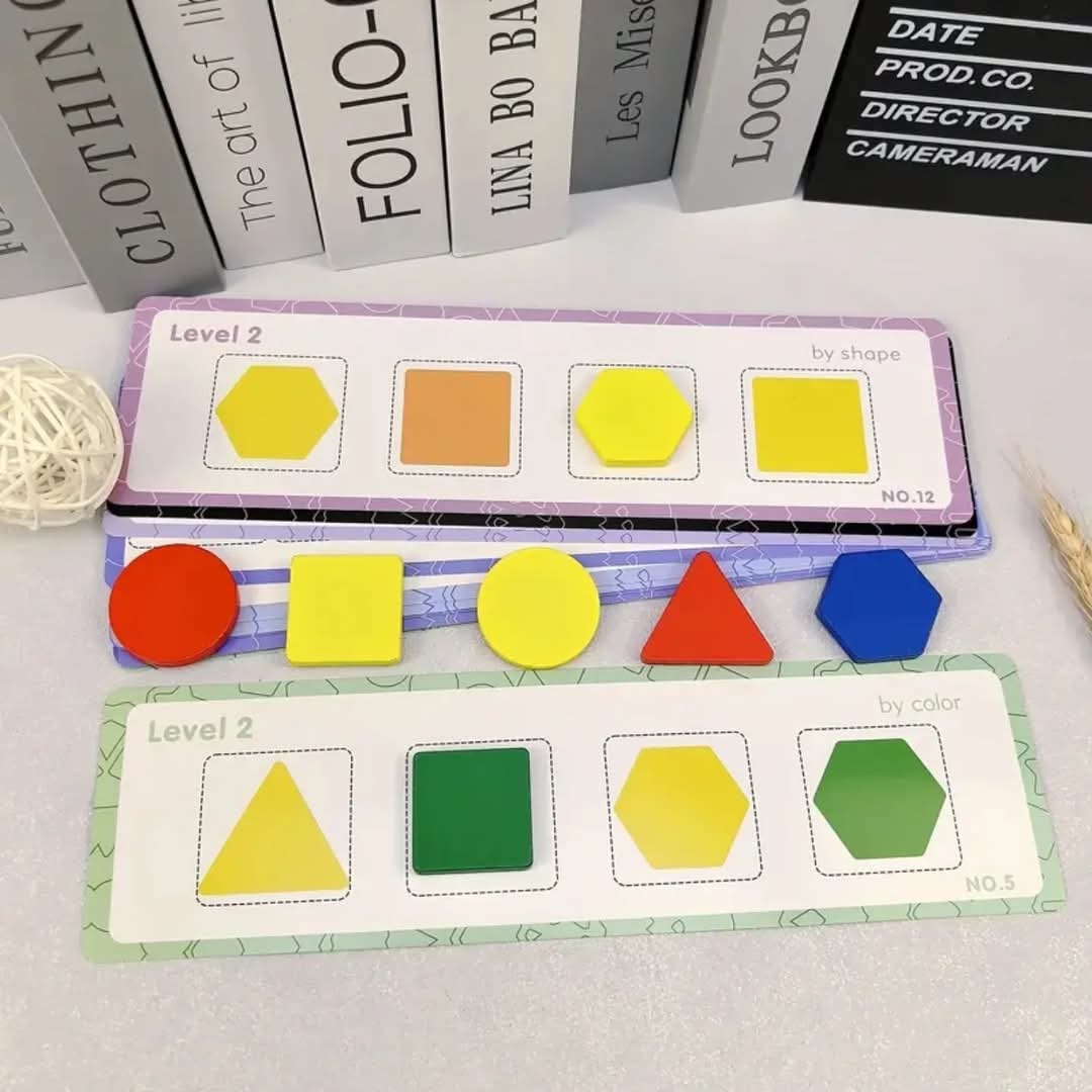 Wooden Montessori Colour and Shape Sorting Toy