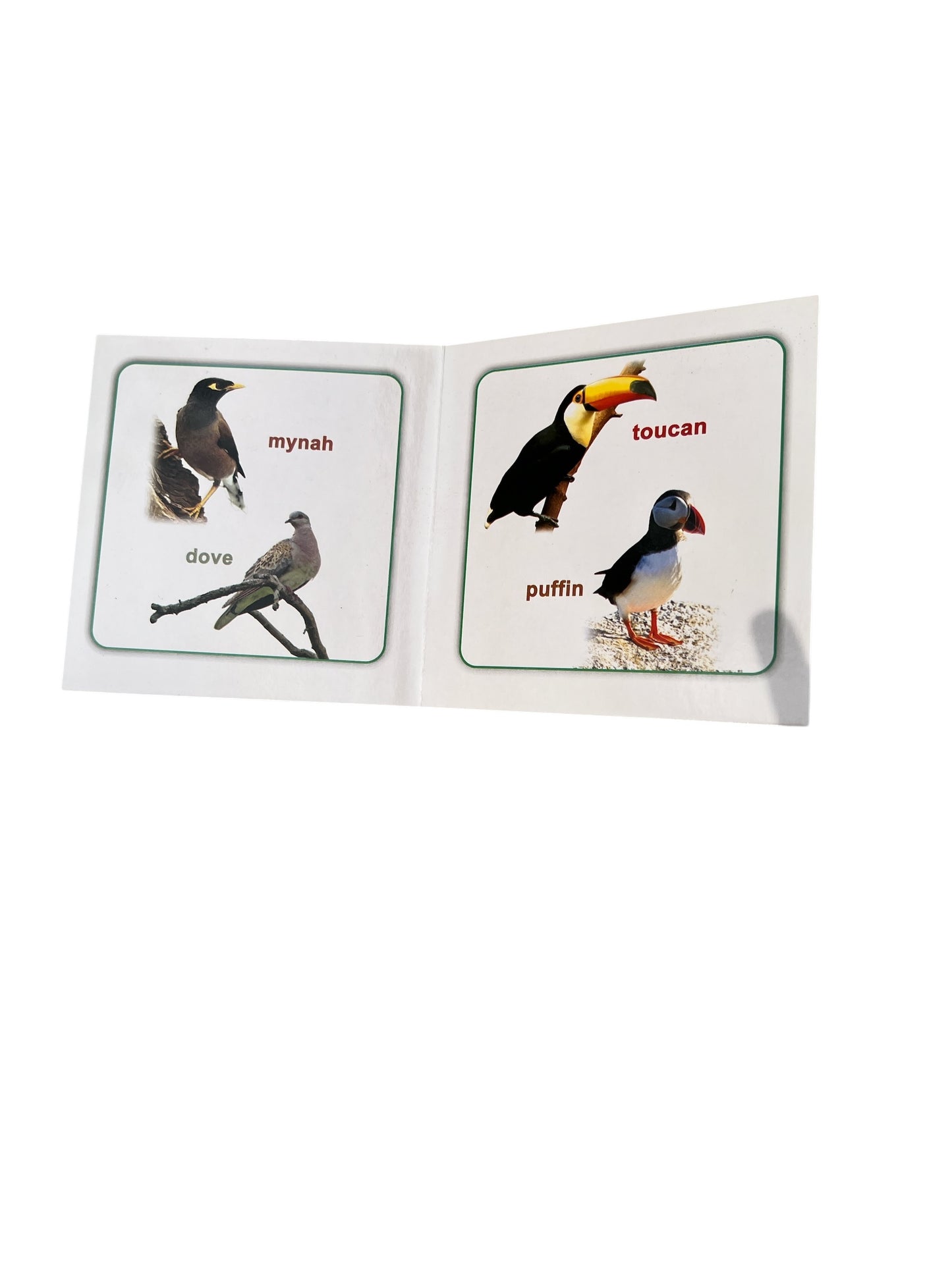 My Little Board Books