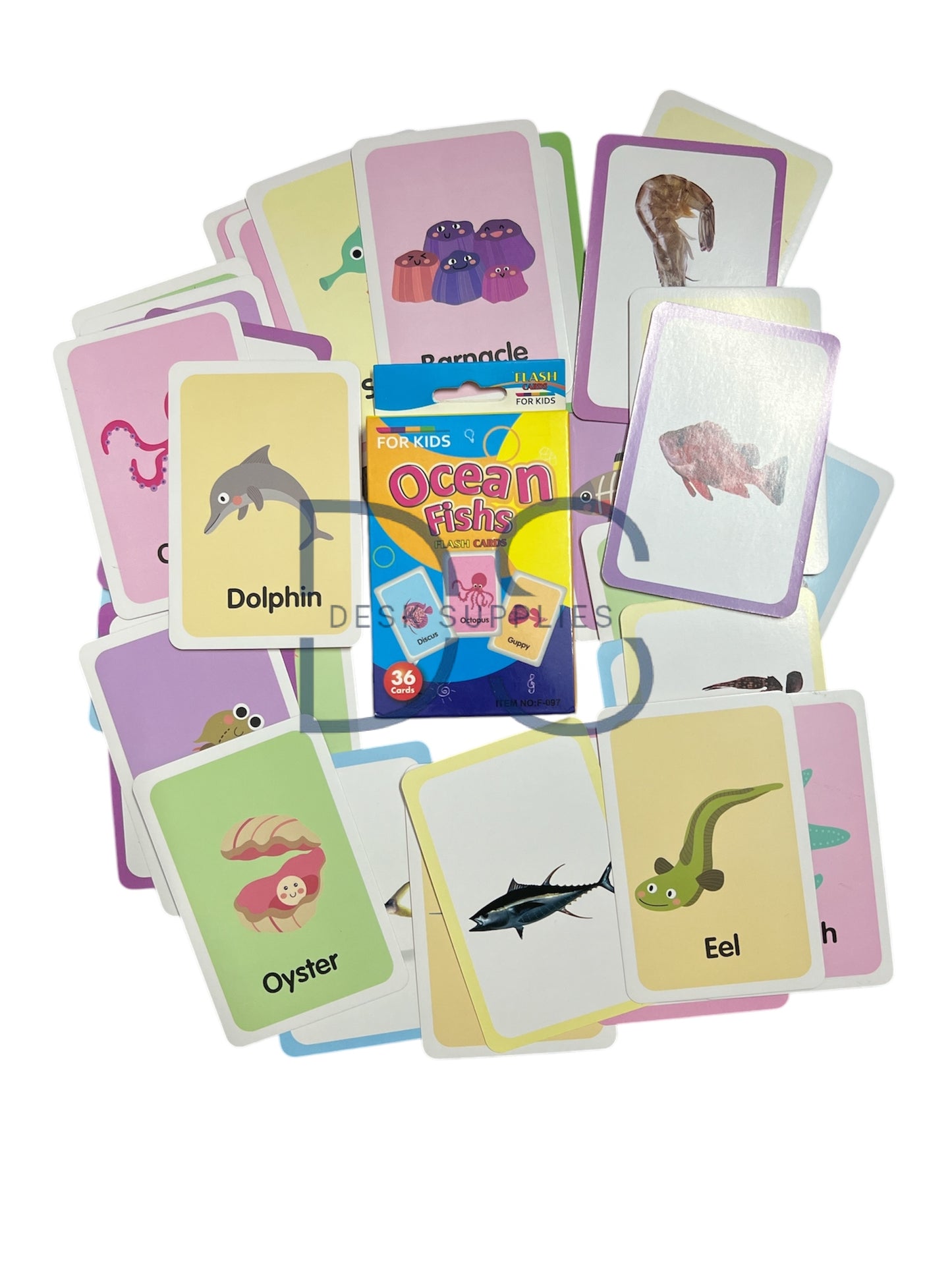 Ocean Fishs Flash Cards
