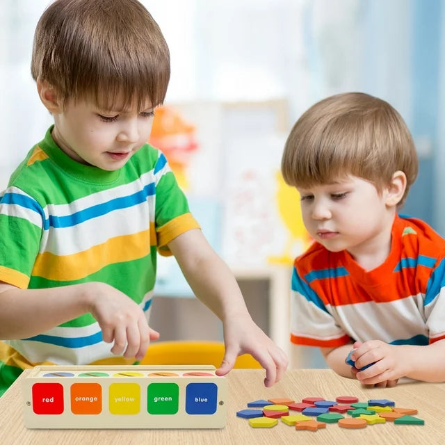 Wooden Montessori Colour and Shape Sorting Toy