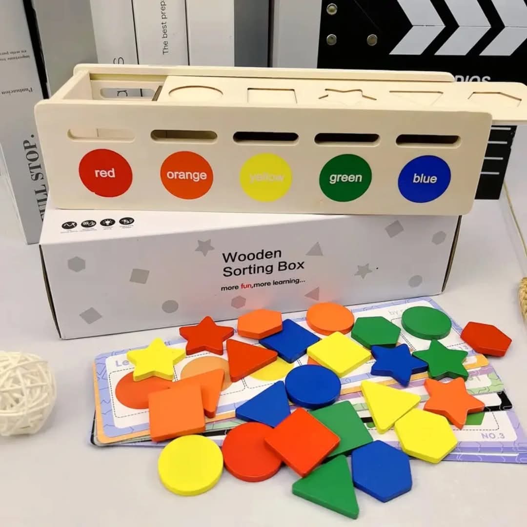 Wooden Montessori Colour and Shape Sorting Toy