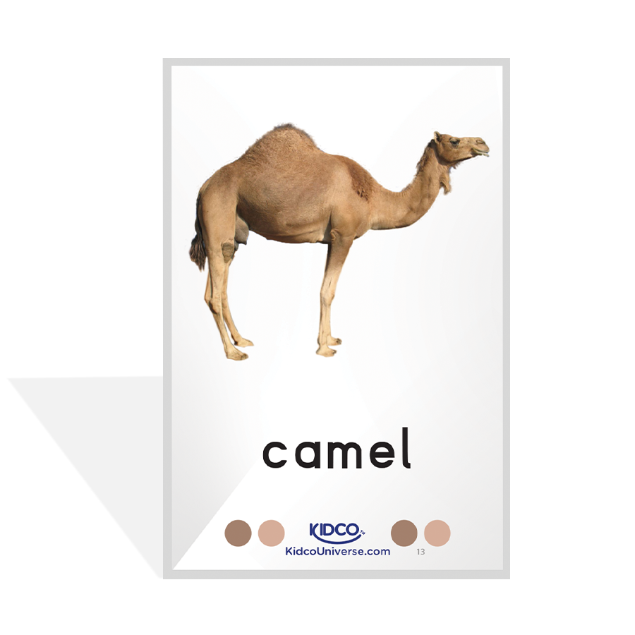 Farm/Pet Animals Flash Cards