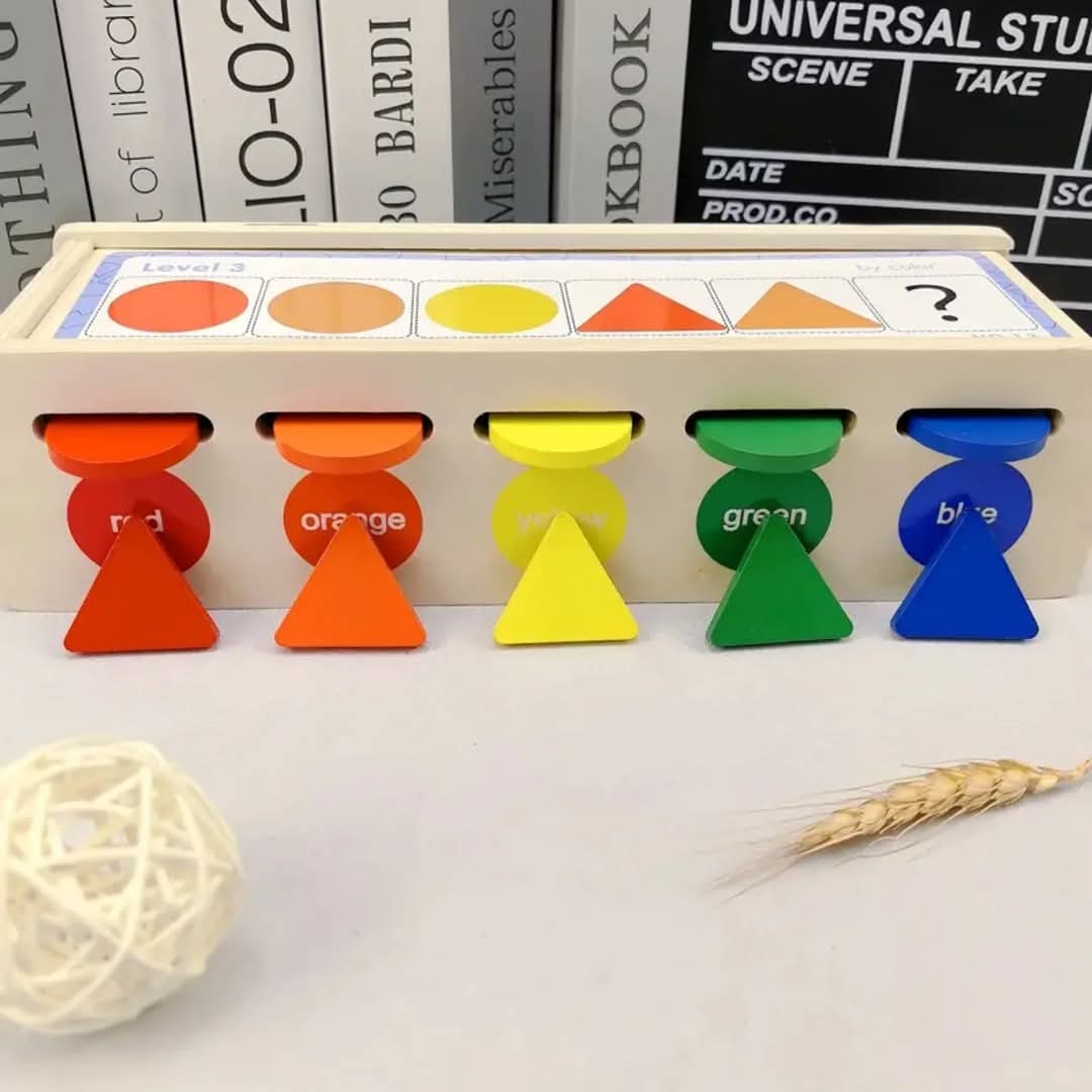 Wooden Montessori Colour and Shape Sorting Toy