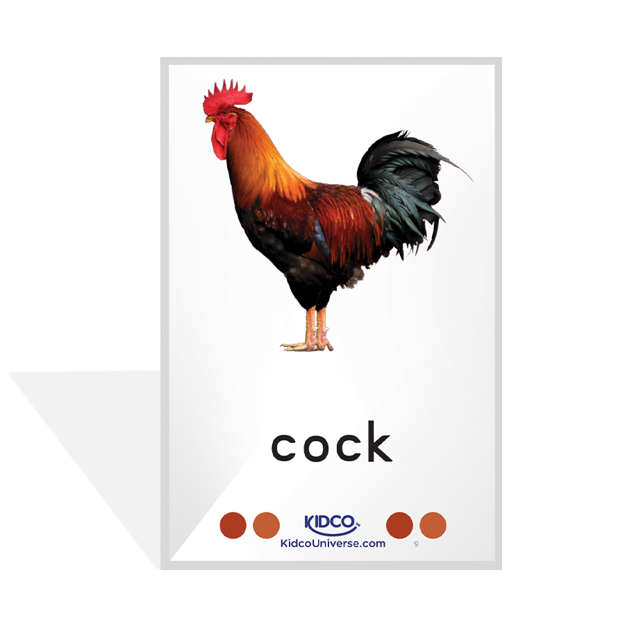 Farm/Pet Animals Flash Cards