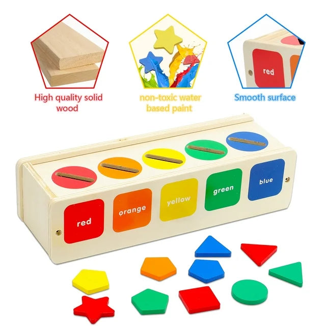 Wooden Montessori Colour and Shape Sorting Toy