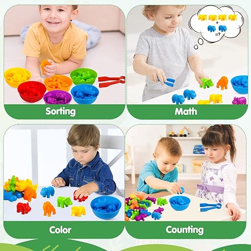 Animals Color Classification Counters