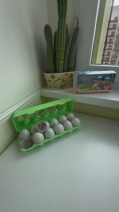 Dinosaur Matching Eggs Toy Set (Educational STEM Toy for Toddlers and Preschoolers)