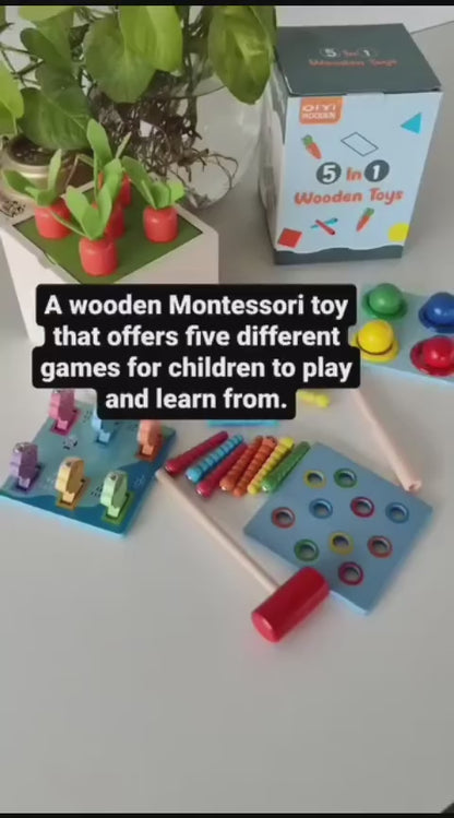 5 in 1 Wooden Montessori Toy