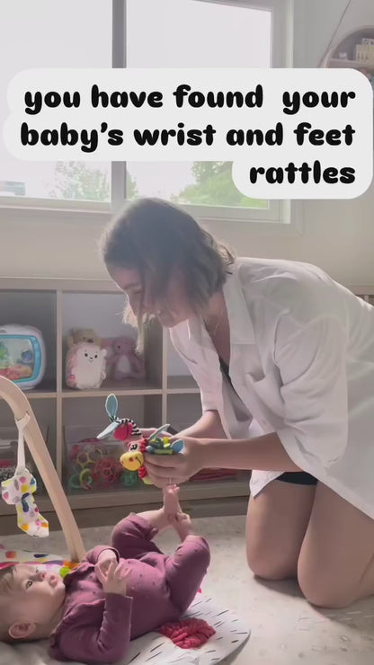 Baby Wrist & Feet Rattle Set (4pcs)