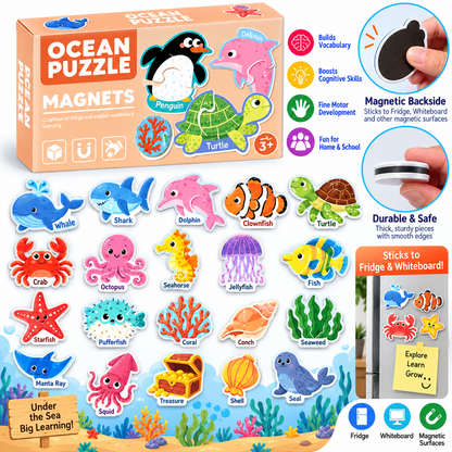 Ocean Magnetic Puzzles Playkit
