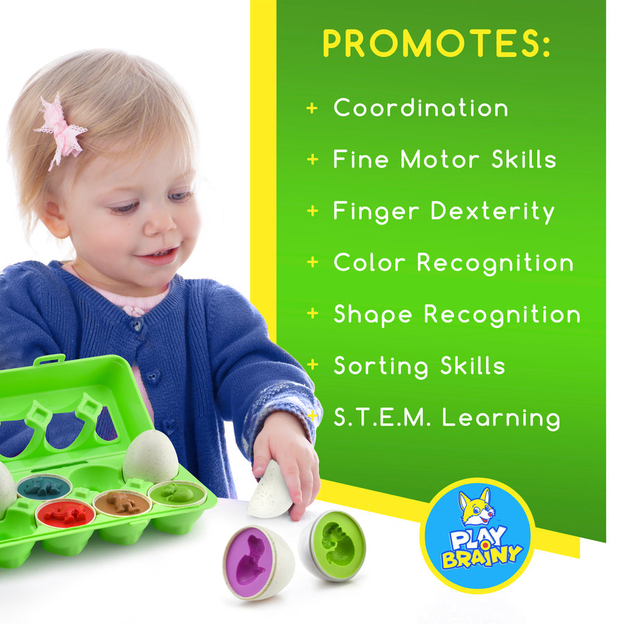 Dinosaur Matching Eggs Toy Set (Educational STEM Toy for Toddlers and Preschoolers)