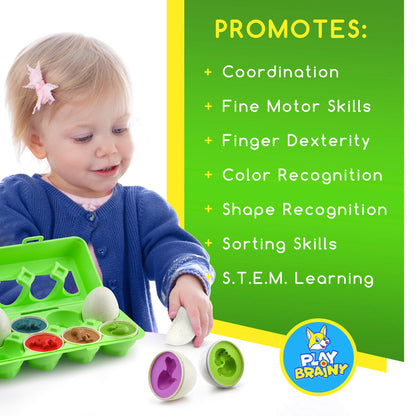 Dinosaur Matching Eggs Toy Set (Educational STEM Toy for Toddlers and Preschoolers)