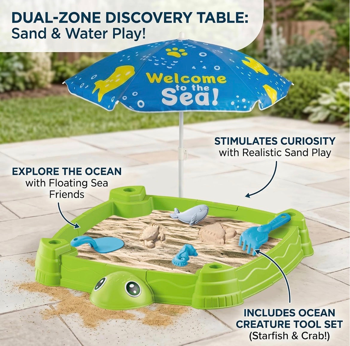 2-in-1 Turtle Sandbox and Sensory Table