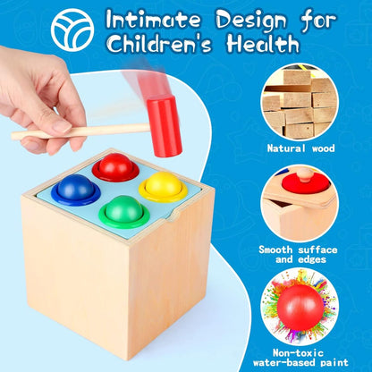 5 in 1 Wooden Montessori Toy