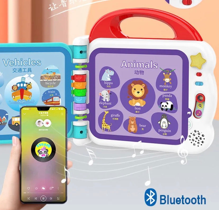 Touch and Learn Words Book with Bluetooth Function – 108 Words