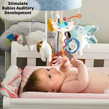 3in1 Silicon Funny Teether & Puller Toy