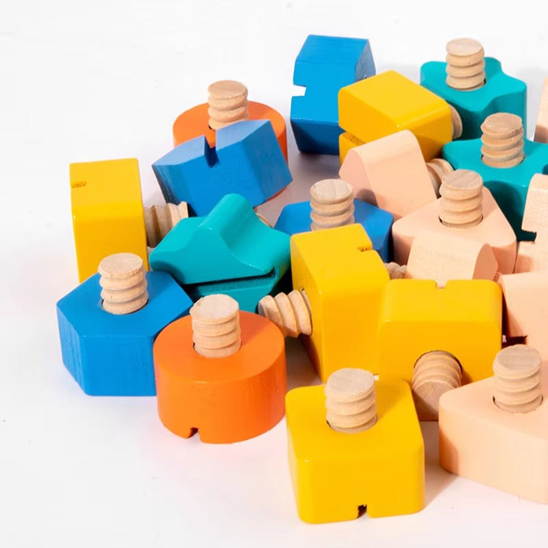 Wooden Shape Screw Game with Pattern Making
