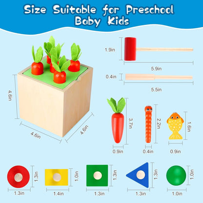 5 in 1 Wooden Montessori Toy